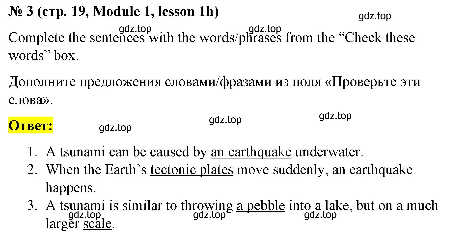 Решение номер 3 (страница 19) гдз по английскому языку 8 класс Баранова, Дули, учебник