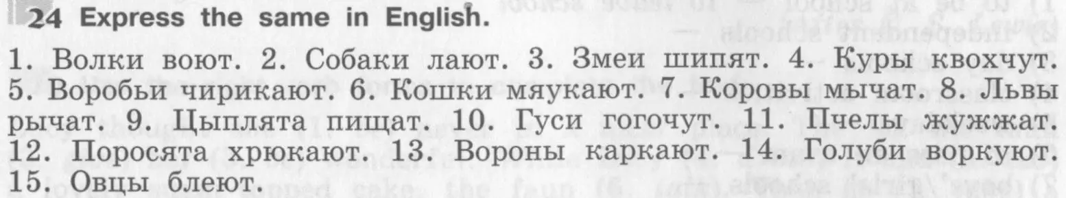 Условие номер 24 (страница 29) гдз по английскому языку 8 класс Афанасьева, Михеева, рабочая тетрадь