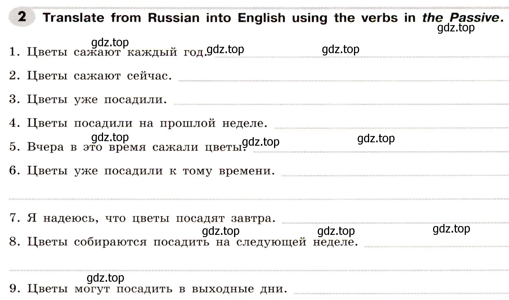 Условие номер 2 (страница 103) гдз по английскому языку 8 класс Тимофеева, грамматический тренажёр