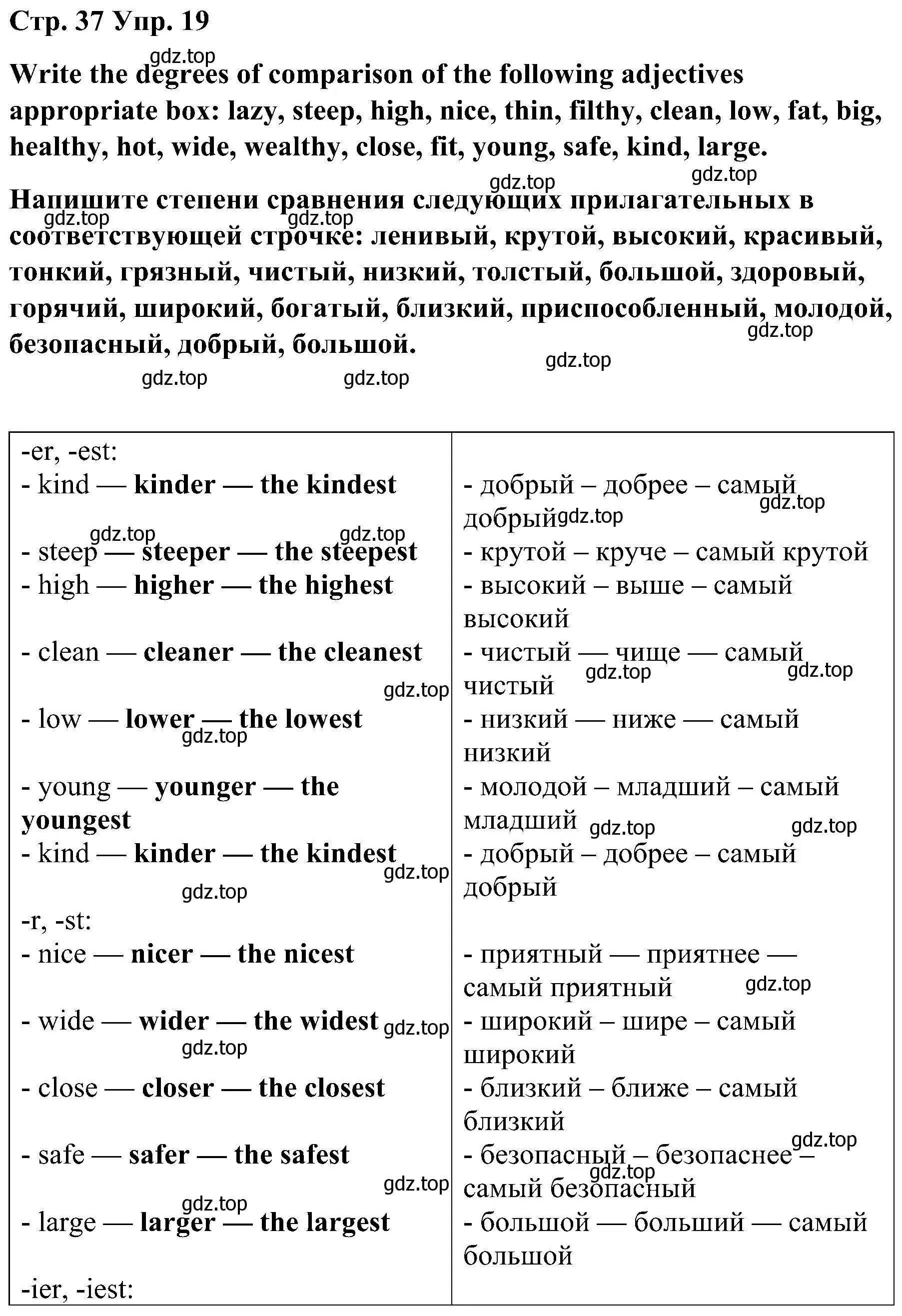 Решение номер 19 (страница 37) гдз по английскому языку 8 класс Тимофеева, грамматический тренажёр