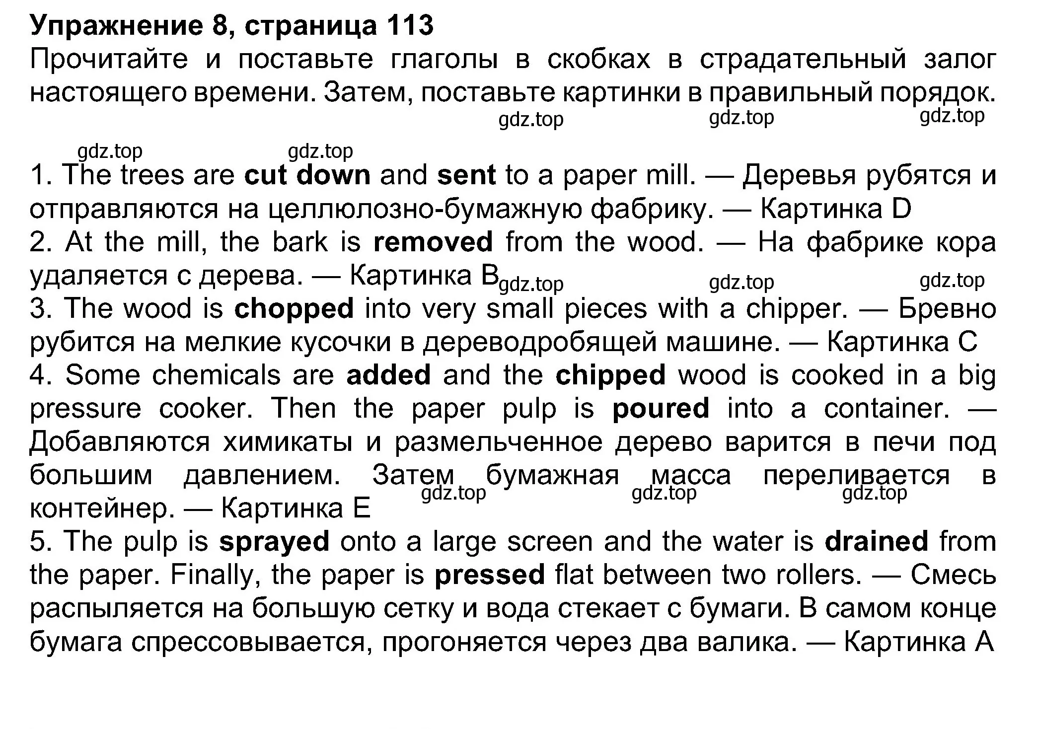 Решение номер 8 (страница 113) гдз по английскому языку 8 класс Ваулина, Дули, учебник