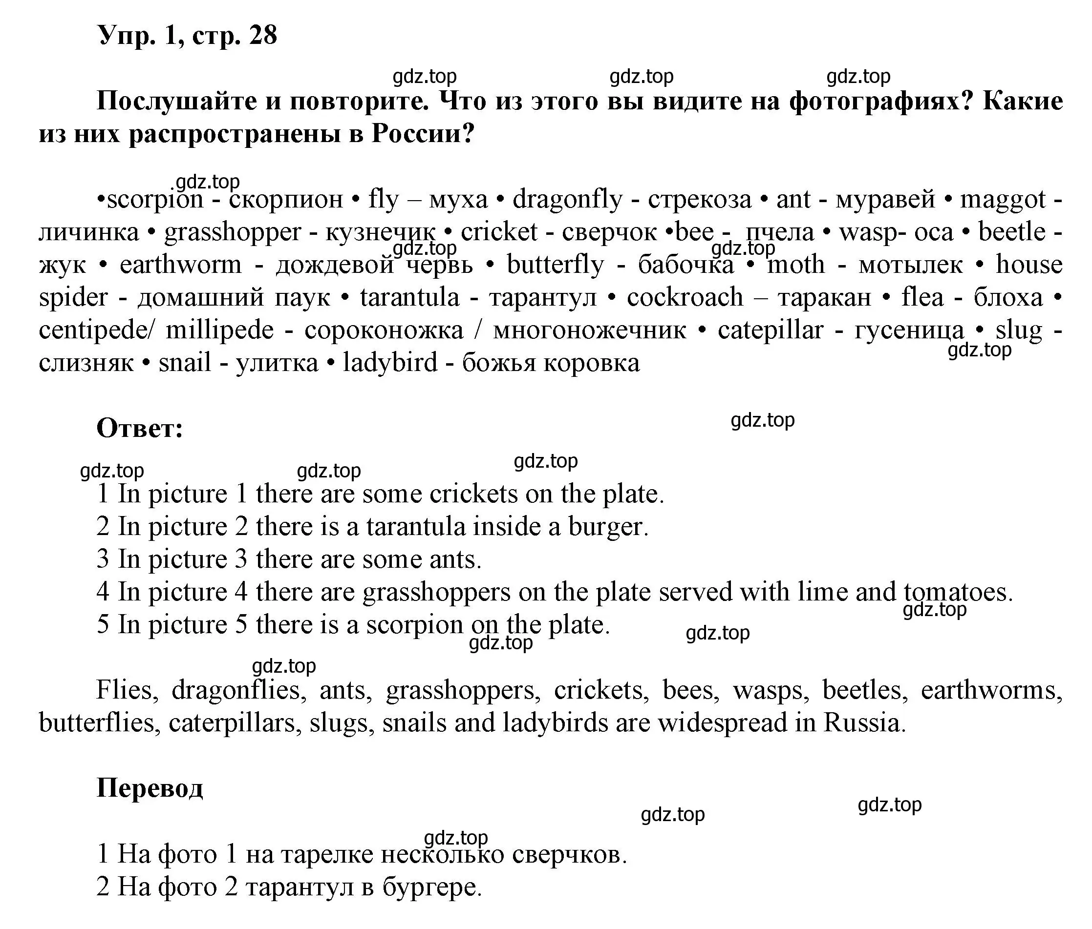 Решение номер 1 (страница 28) гдз по английскому языку 9 класс Баранова, Дули, учебник