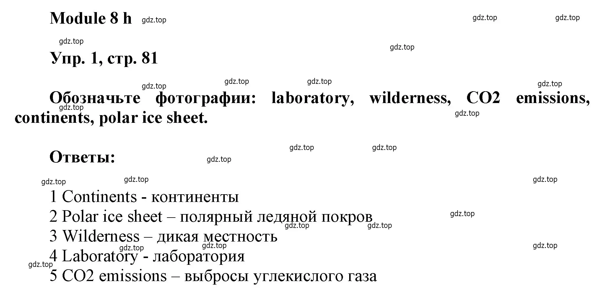 Решение номер 1 (страница 81) гдз по английскому языку 9 класс Ваулина, Дули, рабочая тетрадь