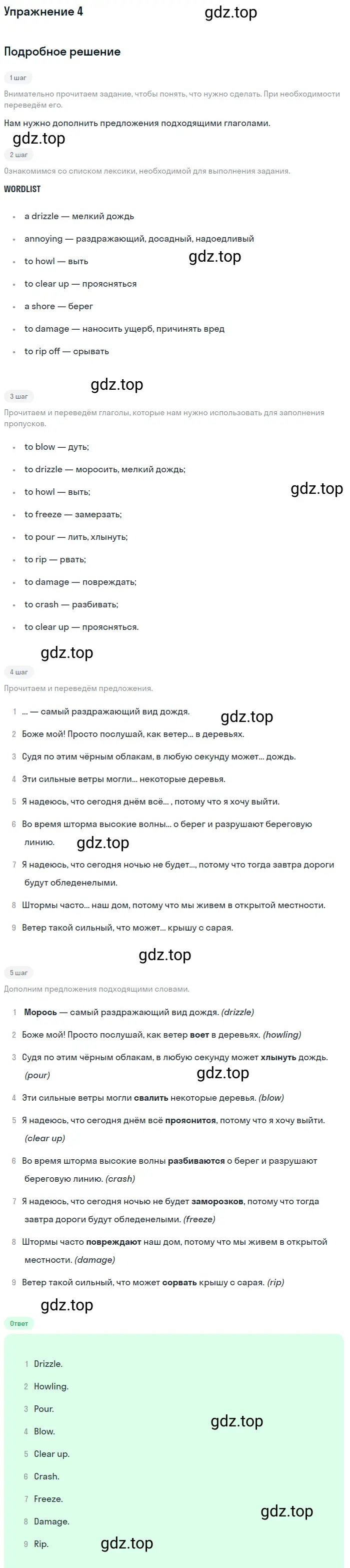 Решение 2. номер 4 (страница 102) гдз по английскому языку 10 класс Баранова, Дули, учебник