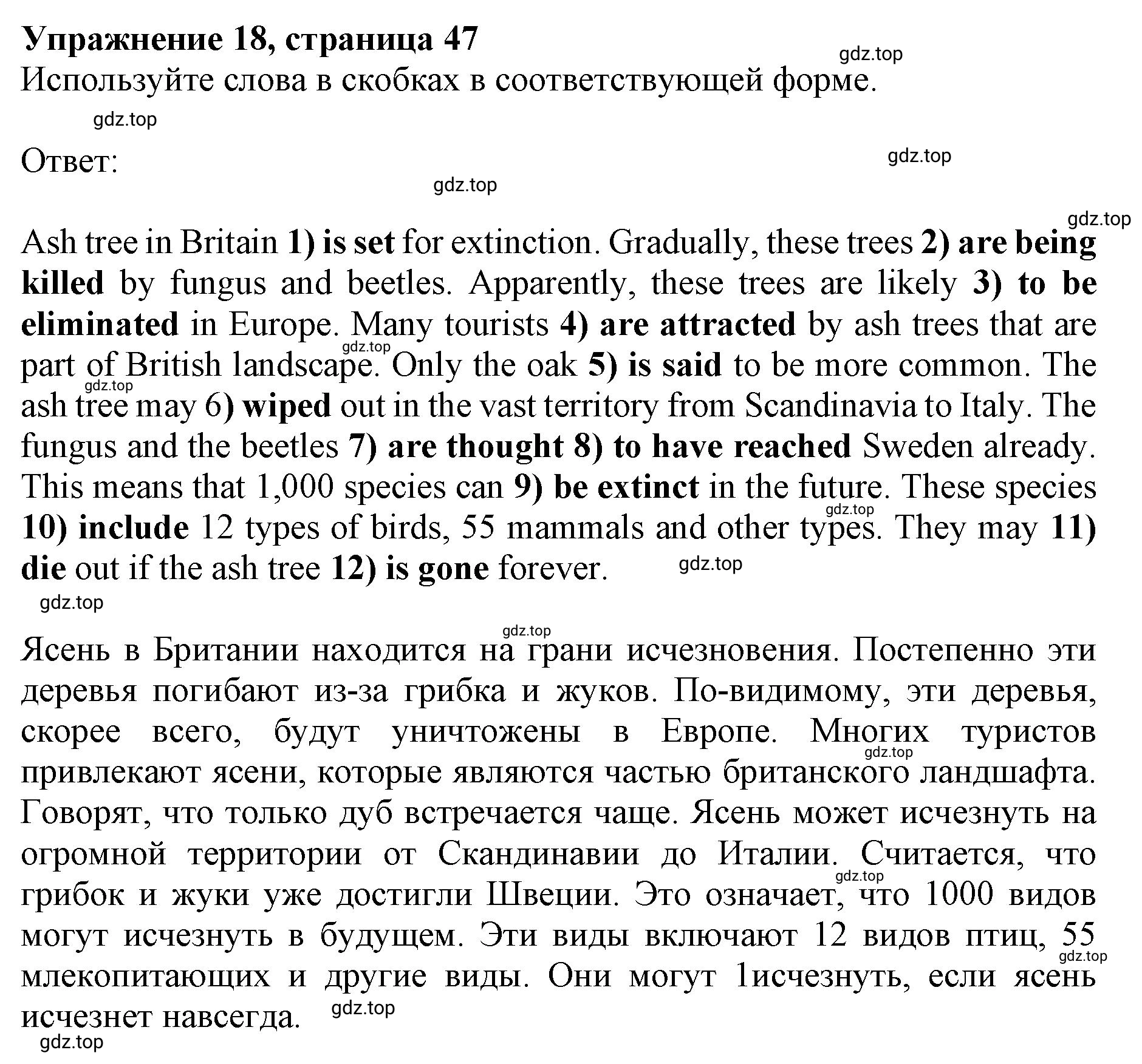 Решение номер 18 (страница 47) гдз по английскому языку 10 класс Мильруд, сборник грамматических упражнений