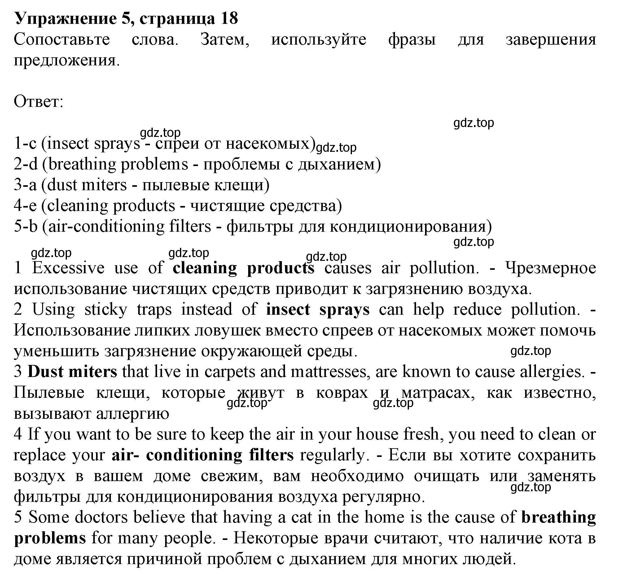 Решение номер 5 (страница 18) гдз по английскому языку 10 класс Афанасьева, Дули, рабочая тетрадь