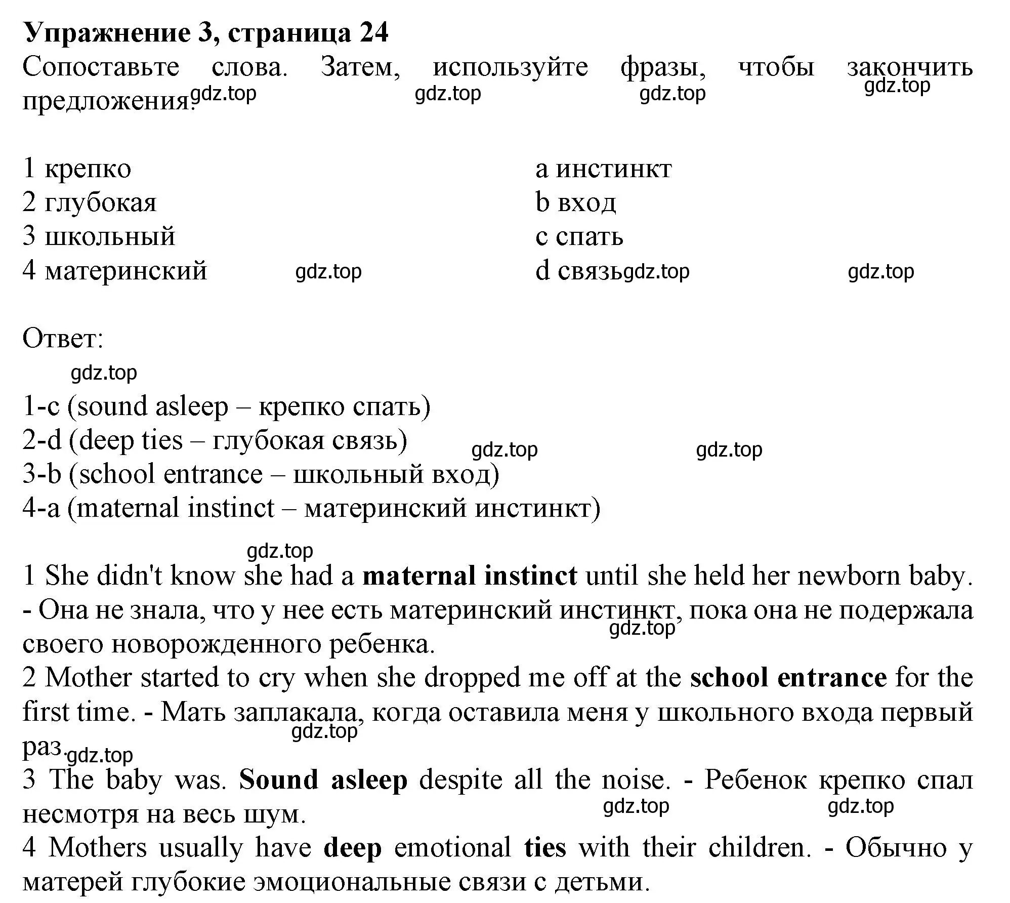 Решение номер 3 (страница 24) гдз по английскому языку 10 класс Афанасьева, Дули, рабочая тетрадь