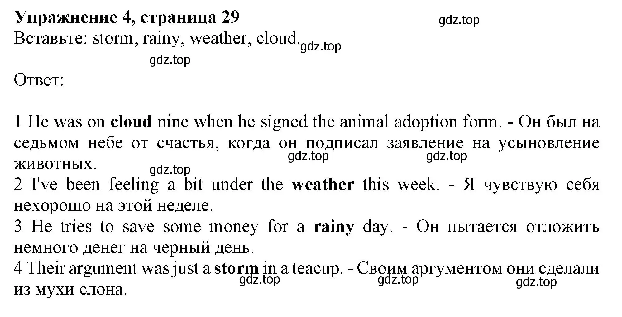 Решение номер 4 (страница 29) гдз по английскому языку 10 класс Афанасьева, Дули, рабочая тетрадь