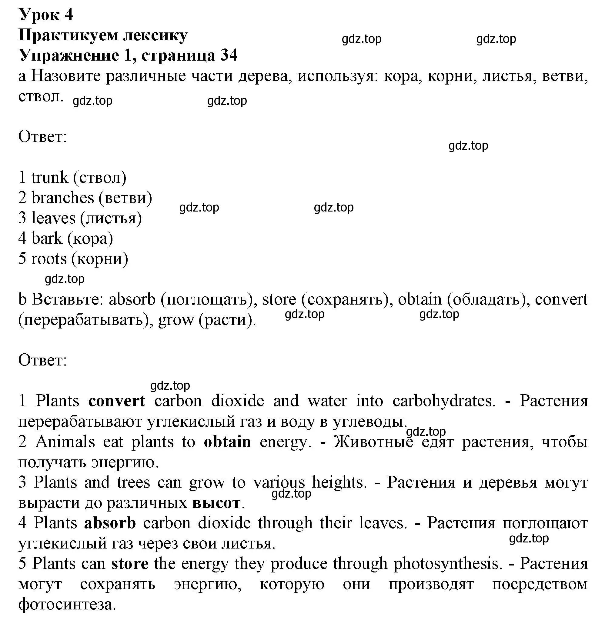 Решение номер 1 (страница 34) гдз по английскому языку 10 класс Афанасьева, Дули, рабочая тетрадь