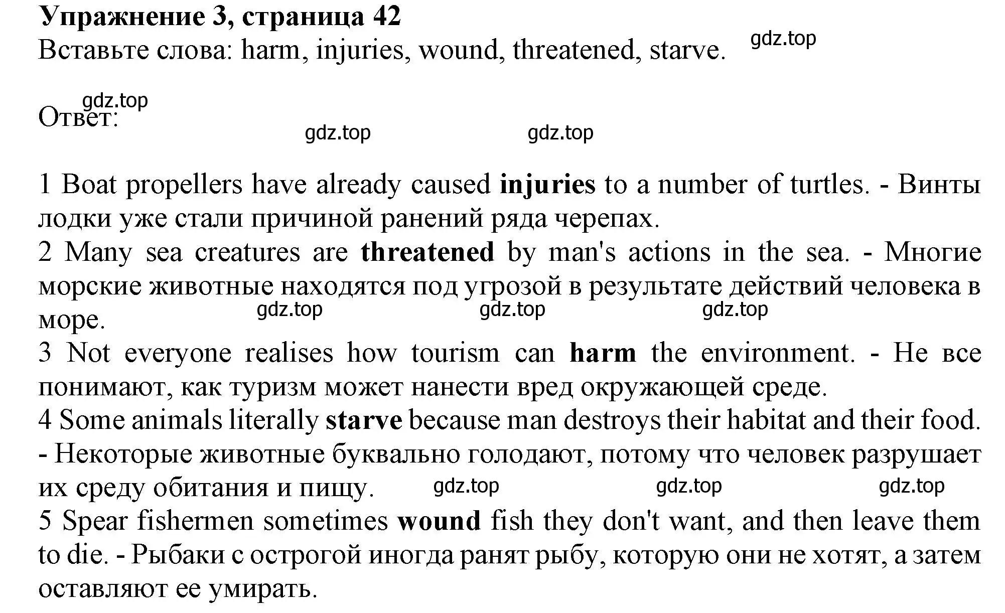 Решение номер 3 (страница 42) гдз по английскому языку 10 класс Афанасьева, Дули, рабочая тетрадь