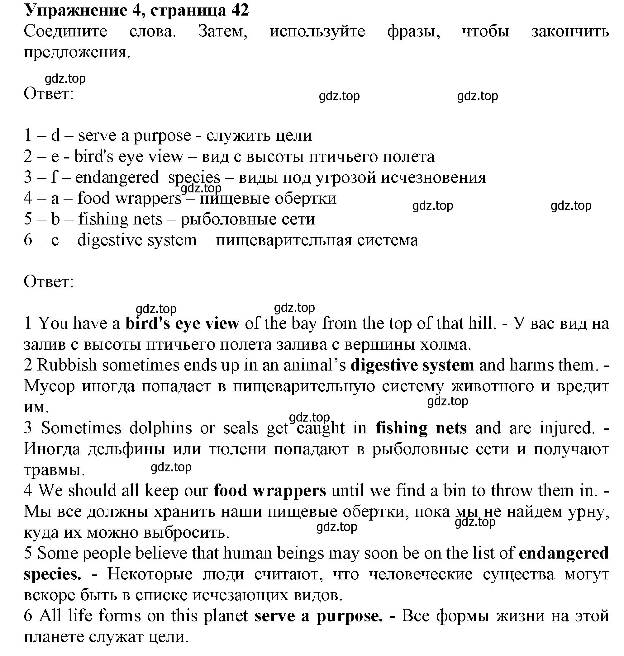 Решение номер 4 (страница 42) гдз по английскому языку 10 класс Афанасьева, Дули, рабочая тетрадь