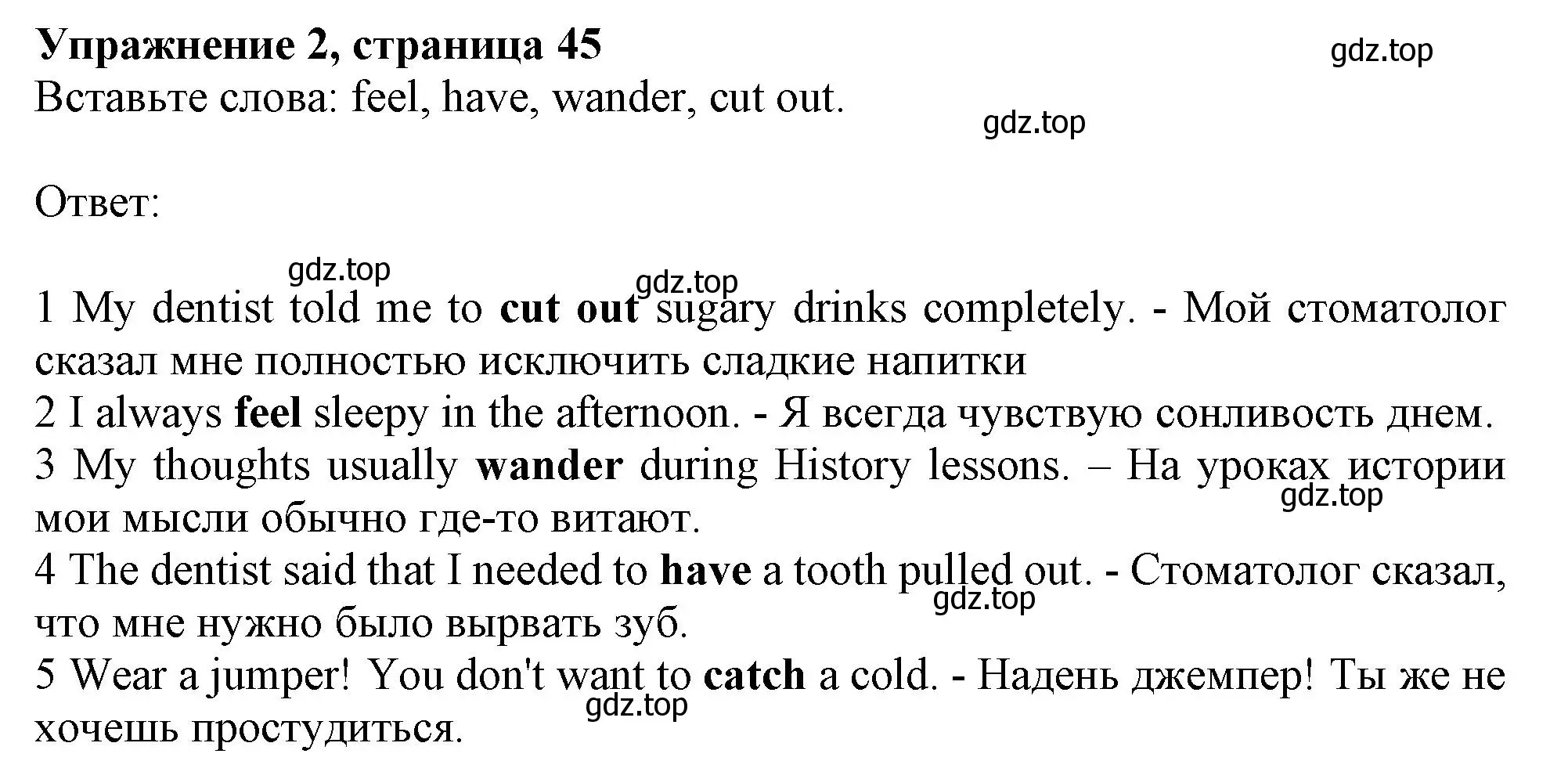 Решение номер 2 (страница 45) гдз по английскому языку 10 класс Афанасьева, Дули, рабочая тетрадь