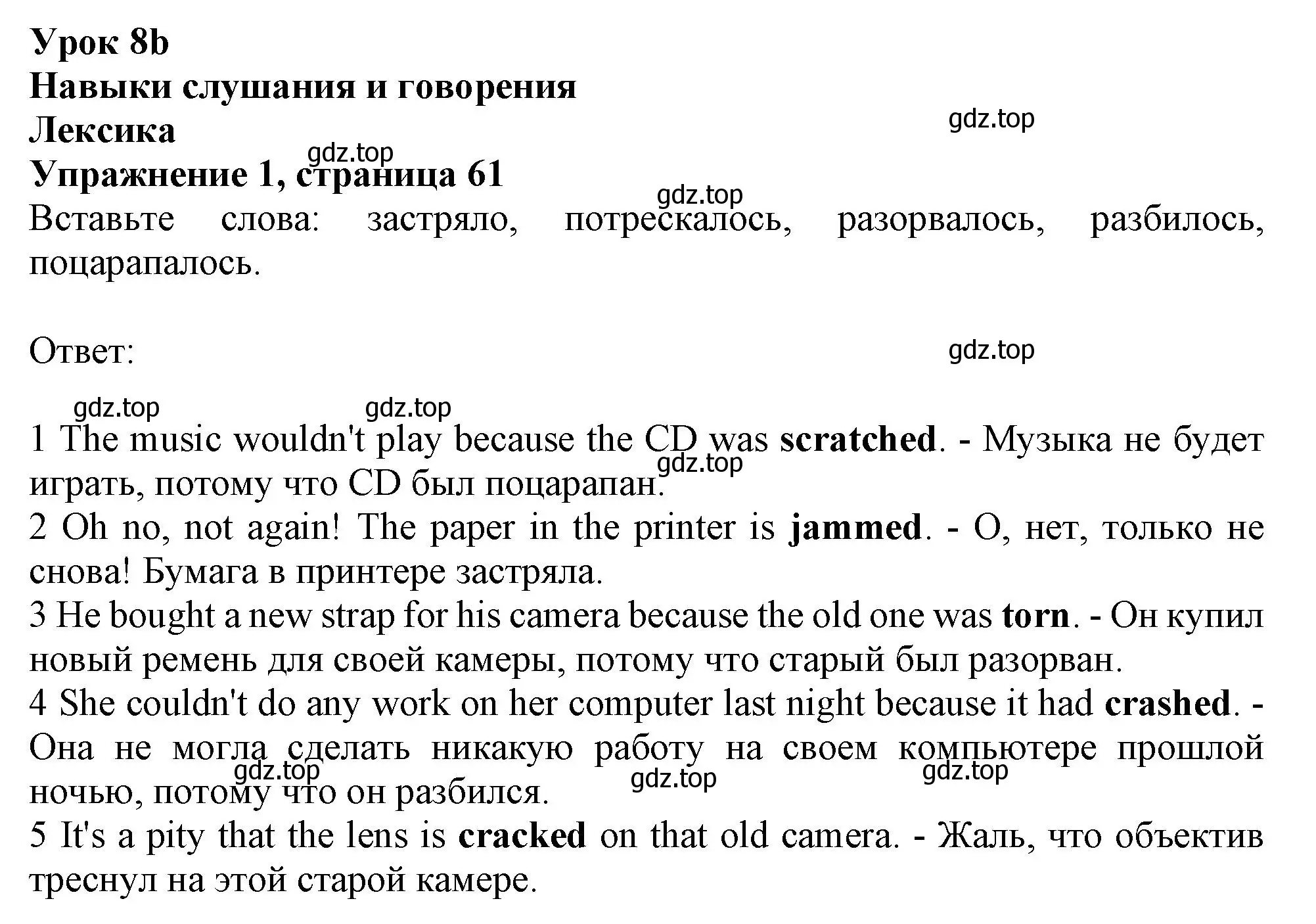 Решение номер 1 (страница 61) гдз по английскому языку 10 класс Афанасьева, Дули, рабочая тетрадь