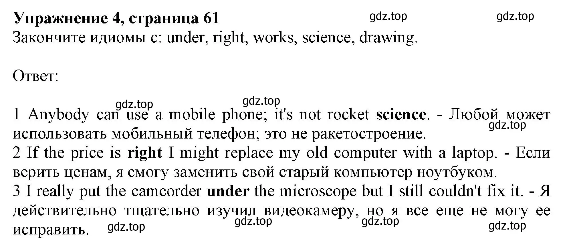 Решение номер 4 (страница 61) гдз по английскому языку 10 класс Афанасьева, Дули, рабочая тетрадь