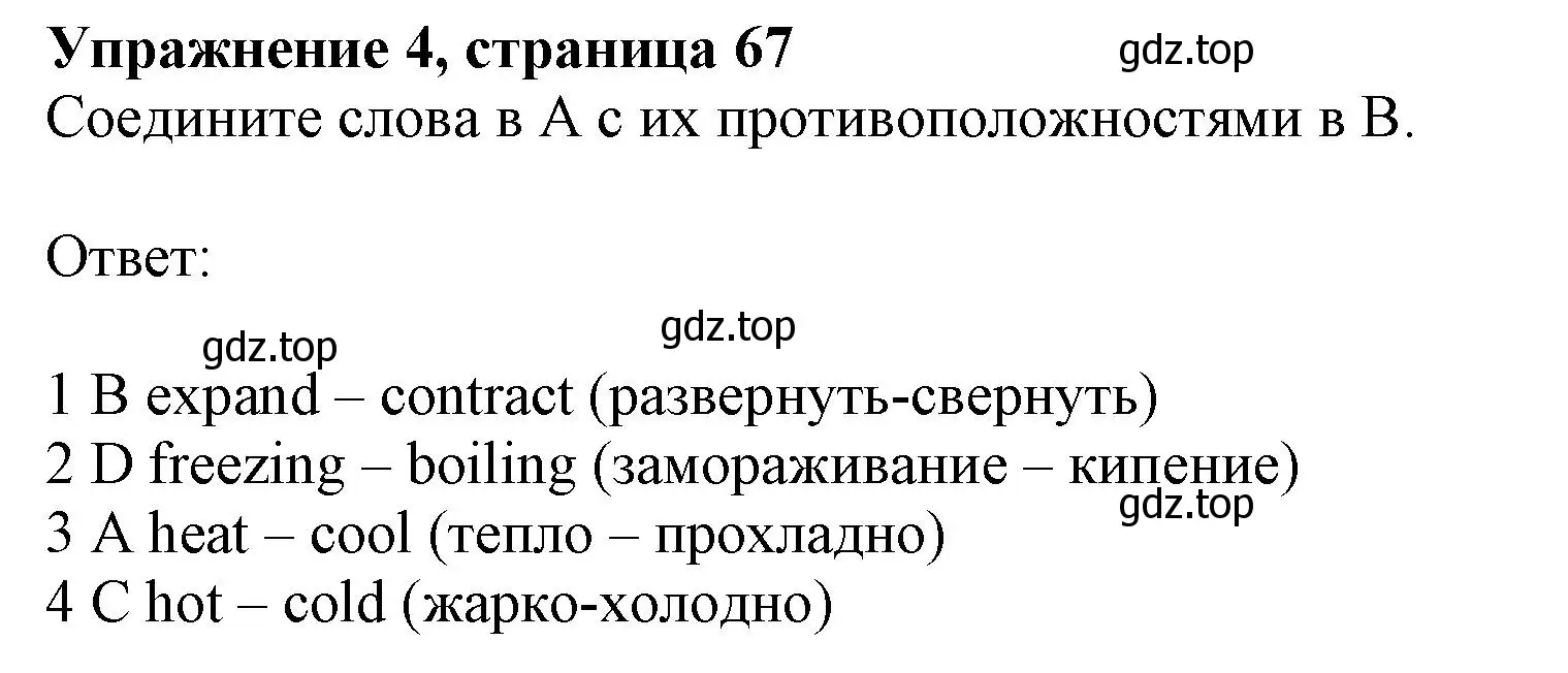 Решение номер 4 (страница 66) гдз по английскому языку 10 класс Афанасьева, Дули, рабочая тетрадь