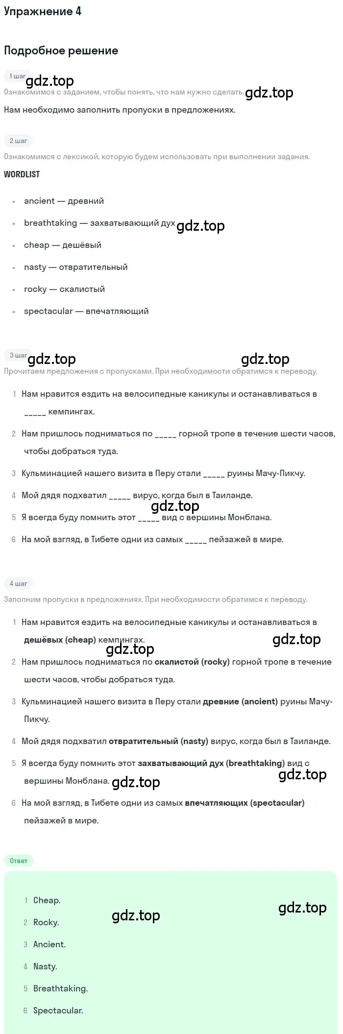 Решение 2. номер 4 (страница 36) гдз по английскому языку 10 класс Афанасьева, Дули, рабочая тетрадь