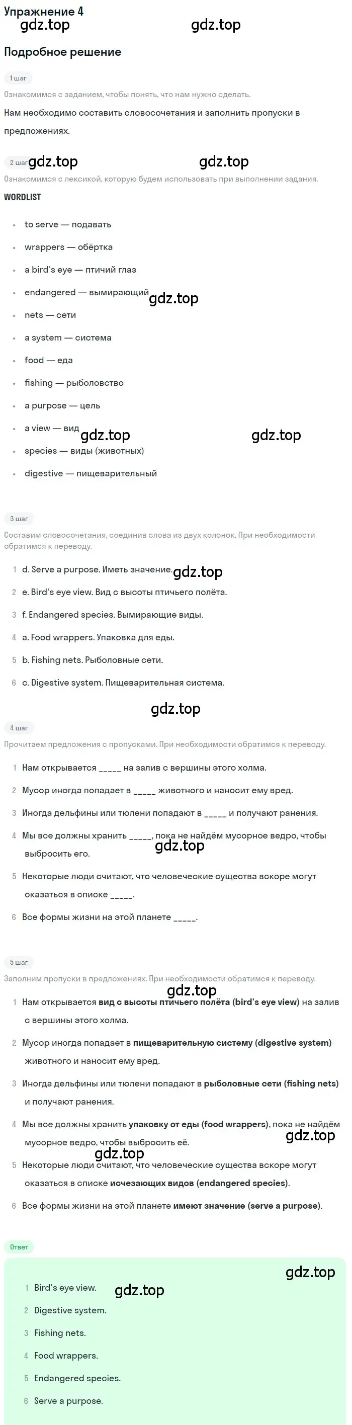 Решение 2. номер 4 (страница 42) гдз по английскому языку 10 класс Афанасьева, Дули, рабочая тетрадь