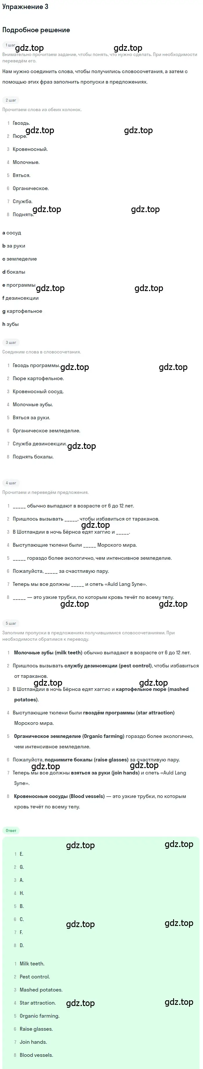 Решение 2. номер 3 (страница 50) гдз по английскому языку 10 класс Афанасьева, Дули, рабочая тетрадь