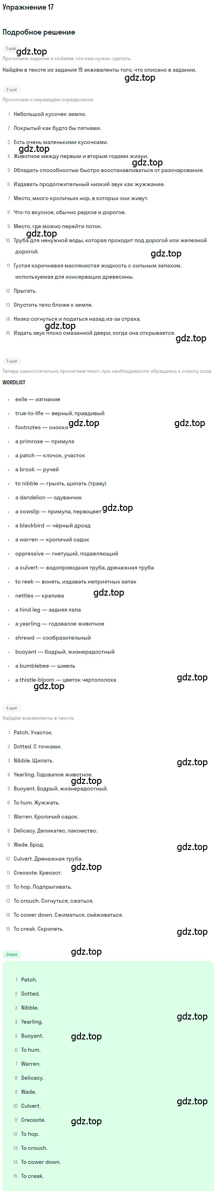 Решение номер 17 (страница 113) гдз по английскому языку 10 класс Афанасьева, Михеева, учебник