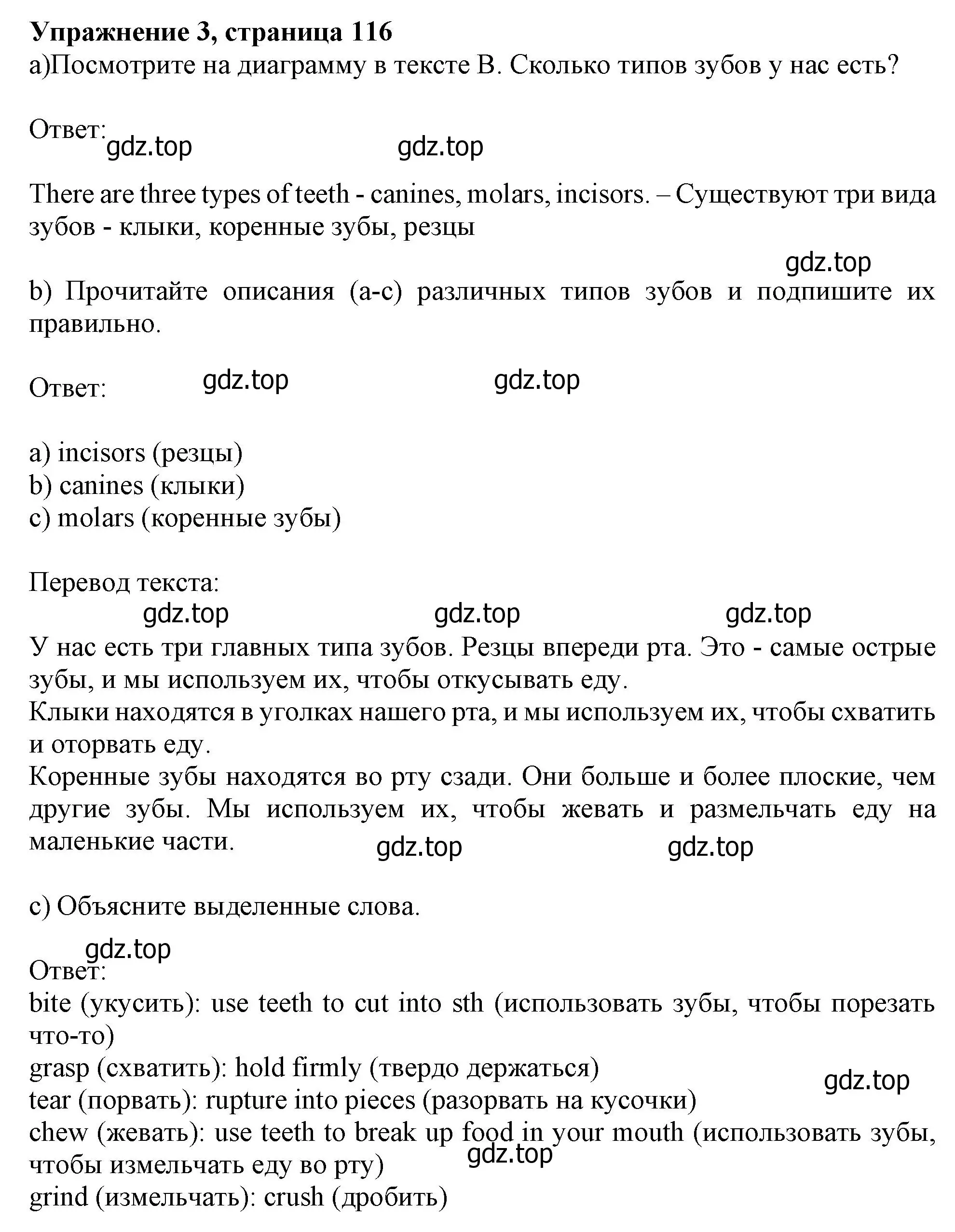 Решение номер 3 (страница 116) гдз по английскому языку 10 класс Афанасьева, Дули, учебник