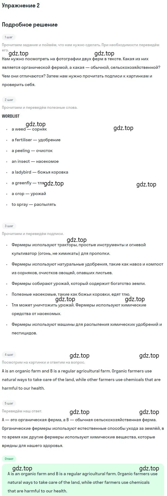 Решение 2. номер 2 (страница 117) гдз по английскому языку 10 класс Афанасьева, Дули, учебник