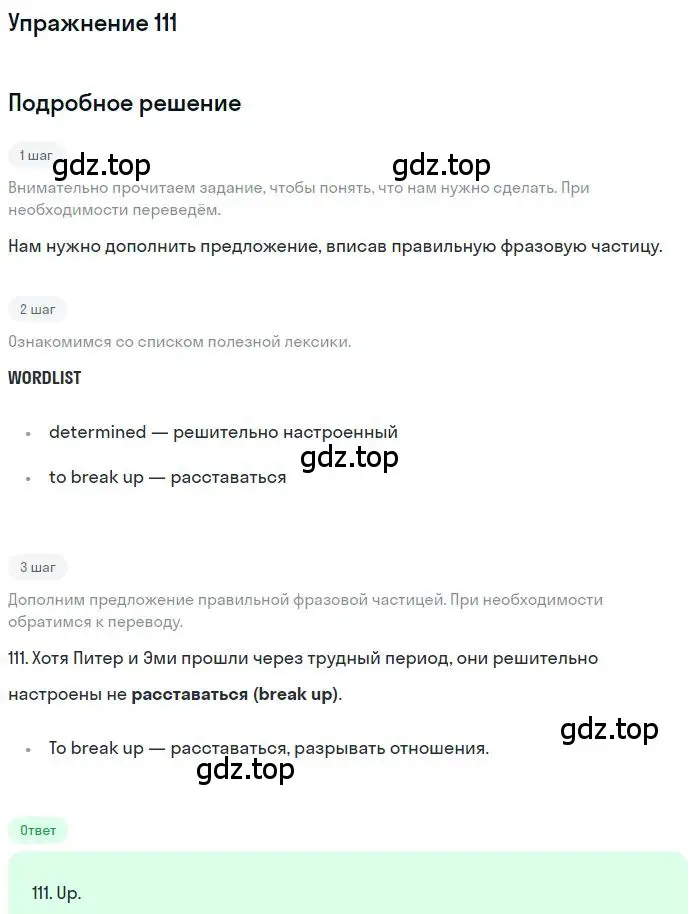 Решение номер 111 (страница 101) гдз по английскому языку 10 класс Баранова, Дули, рабочая тетрадь