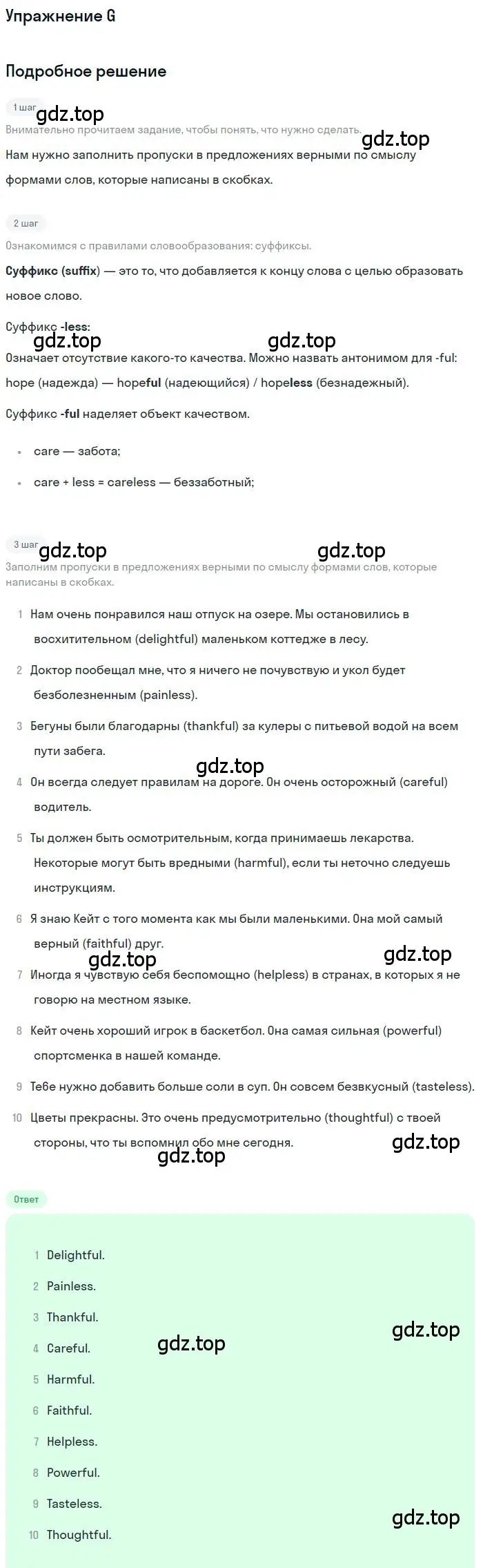 Решение 3. G (страница 91) гдз по английскому языку 10 класс Баранова, Дули, рабочая тетрадь