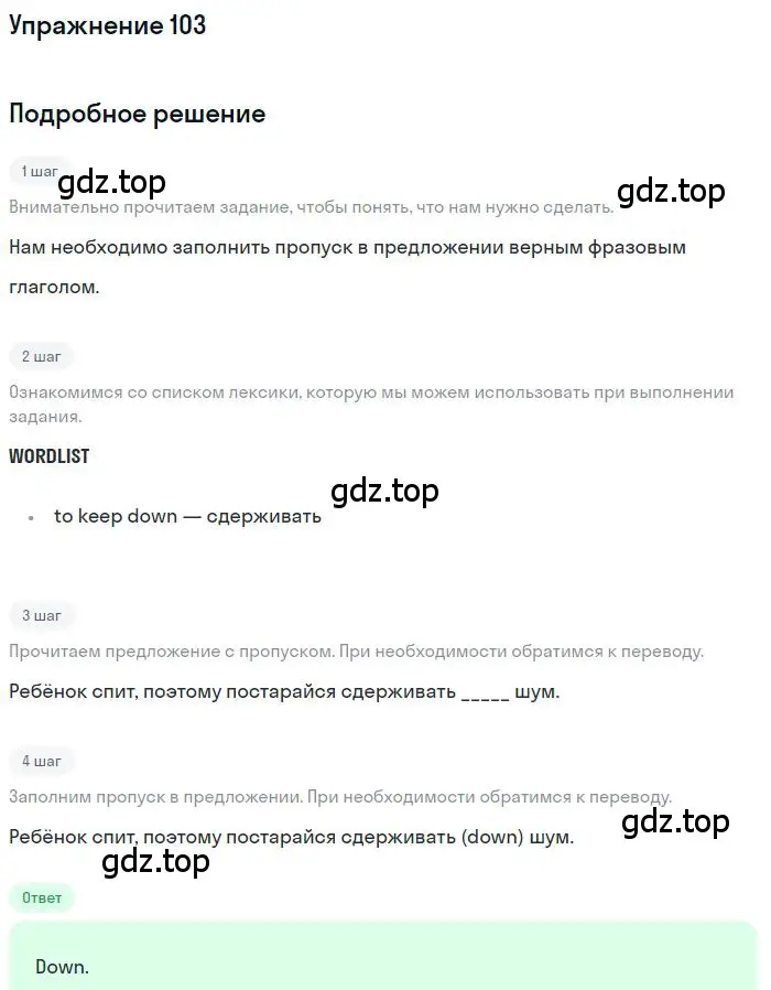 Решение 3. номер 103 (страница 101) гдз по английскому языку 10 класс Баранова, Дули, рабочая тетрадь