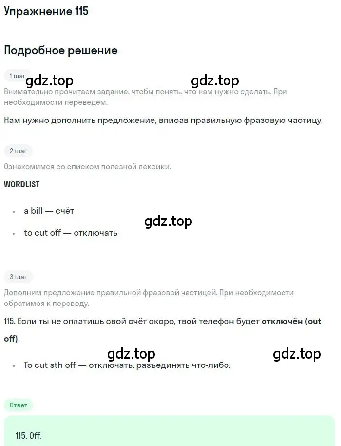Решение 3. номер 115 (страница 101) гдз по английскому языку 10 класс Баранова, Дули, рабочая тетрадь