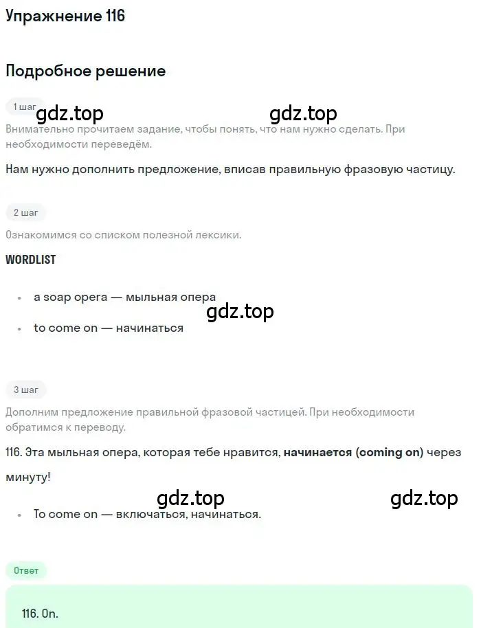 Решение 3. номер 116 (страница 101) гдз по английскому языку 10 класс Баранова, Дули, рабочая тетрадь