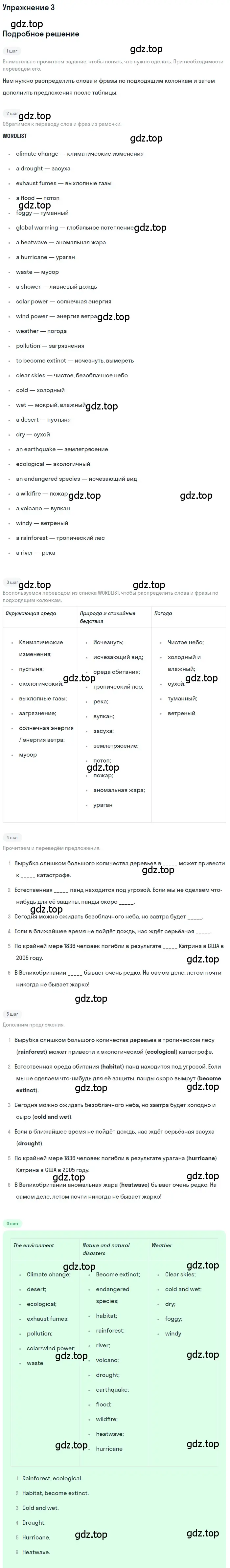 Решение номер 3 (страница 46) гдз по английскому языку 10 класс Комарова, Ларионова, рабочая тетрадь