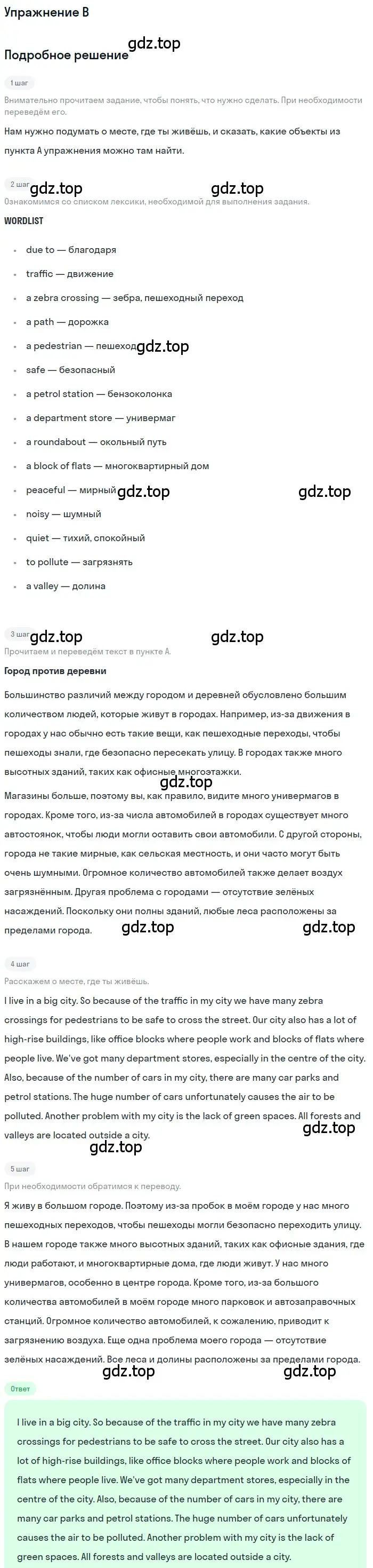 Решение  B (страница 140) гдз по английскому языку 10 класс Комарова, Ларионова, учебник