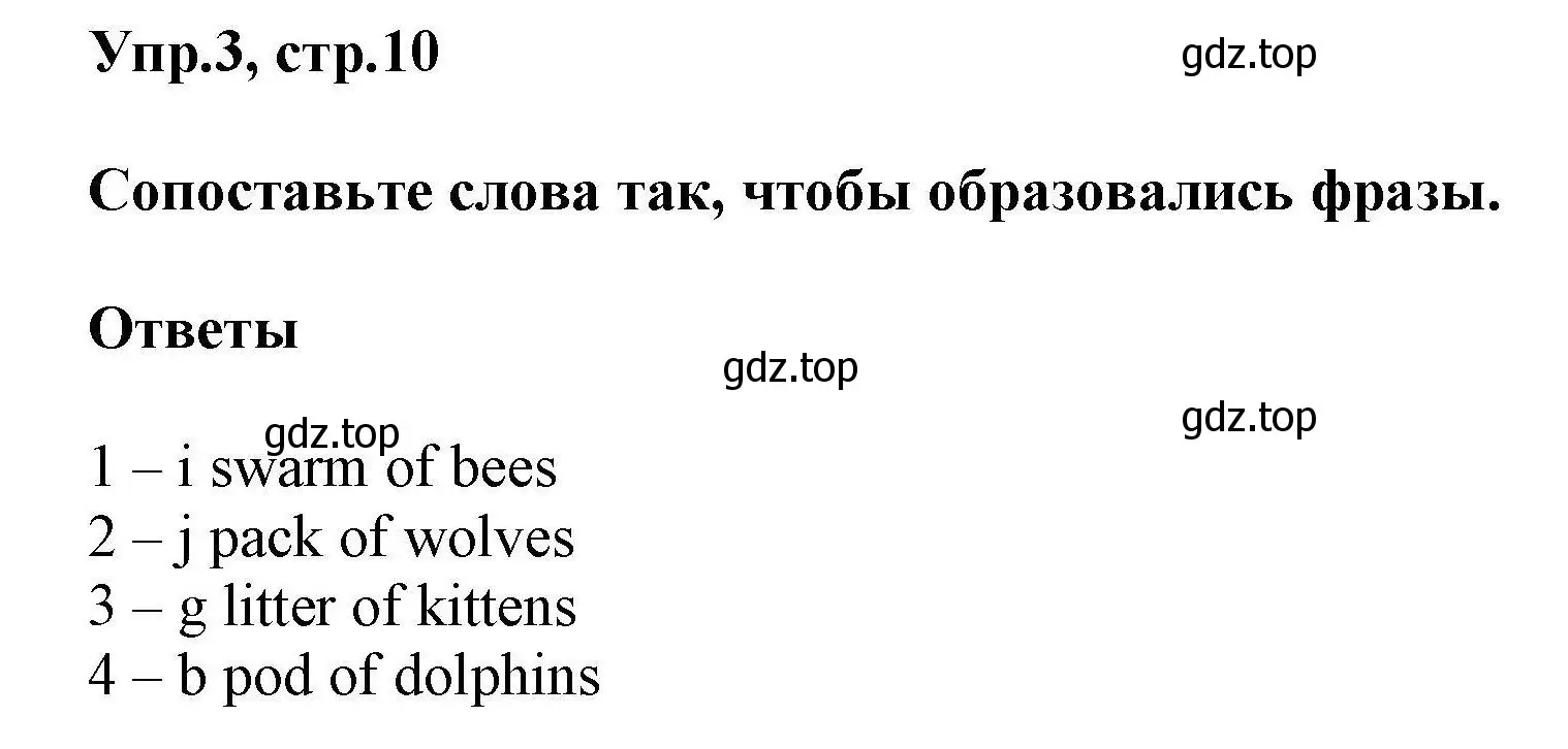 Решение номер 3 (страница 10) гдз по английскому языку 11 класс Баранова, Дули, лексический практикум