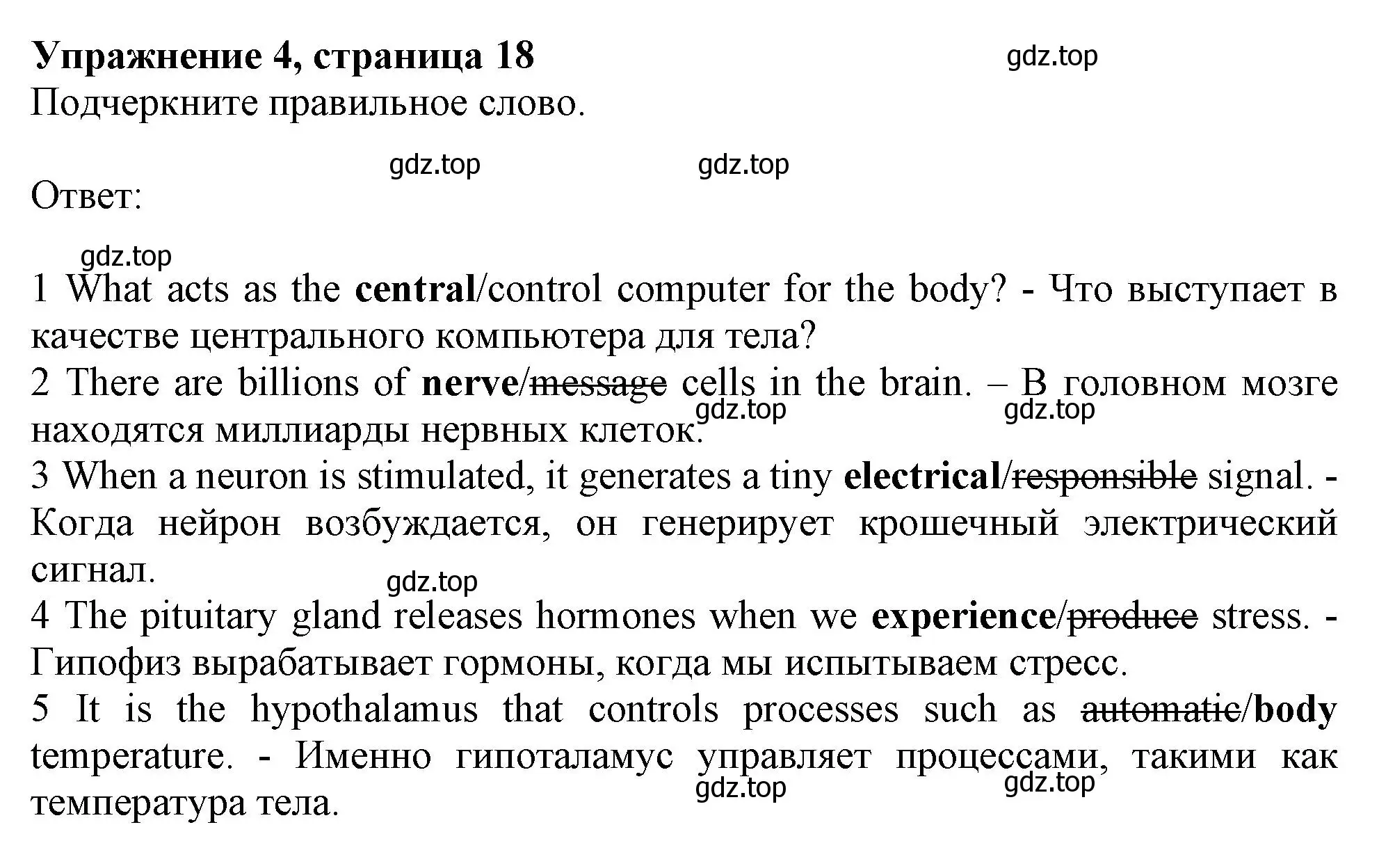 Решение номер 4 (страница 18) гдз по английскому языку 11 класс Афанасьева, Дули, рабочая тетрадь