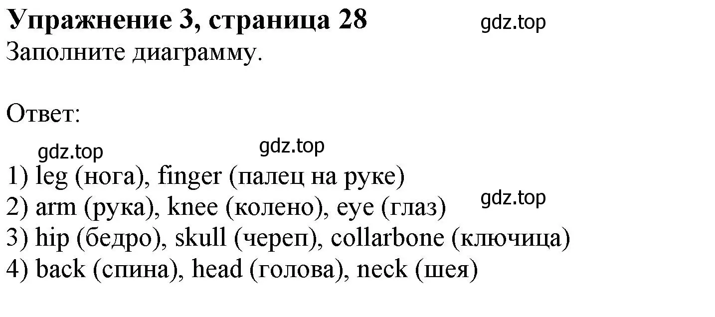 Решение номер 3 (страница 28) гдз по английскому языку 11 класс Афанасьева, Дули, рабочая тетрадь