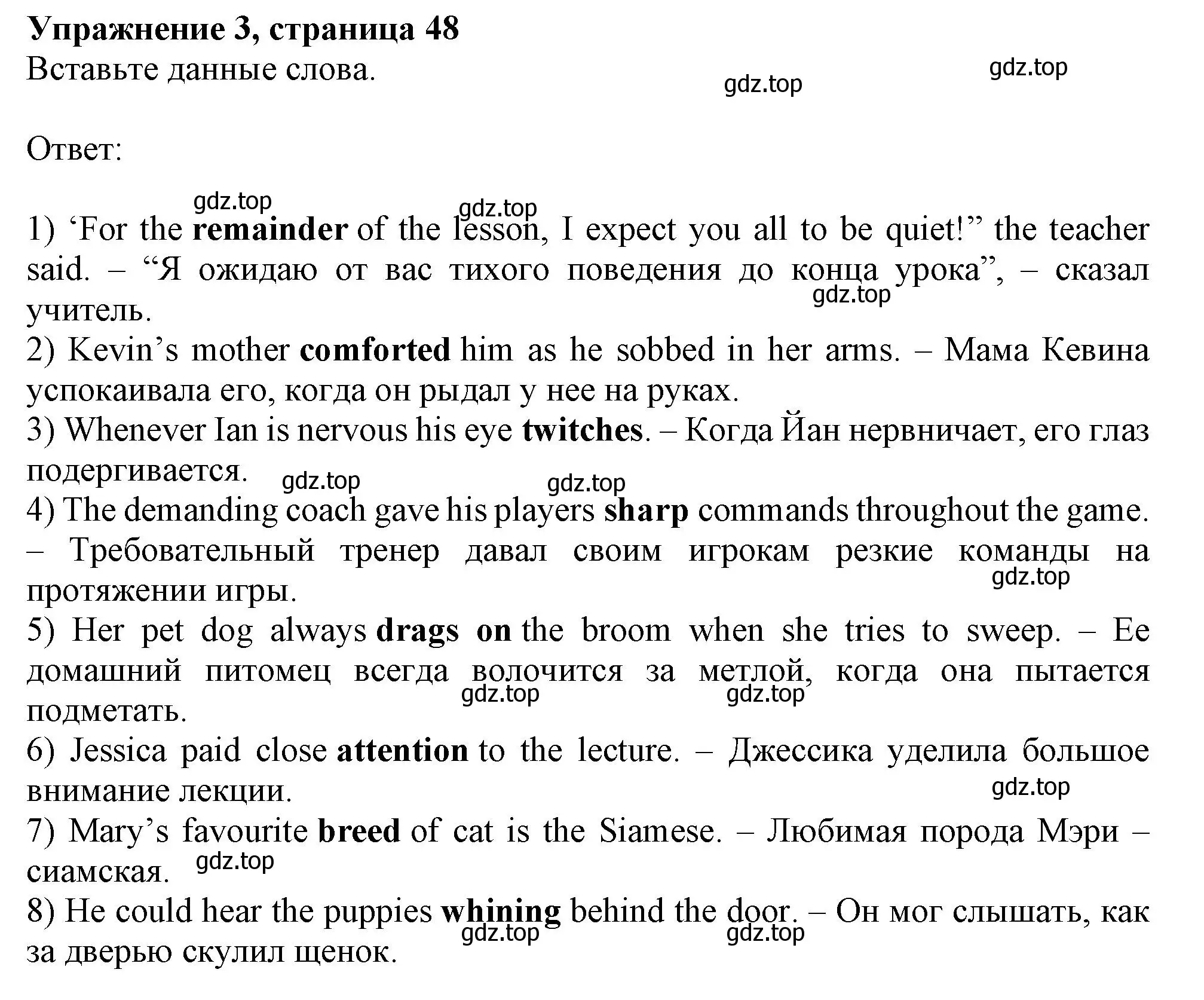 Решение номер 3 (страница 48) гдз по английскому языку 11 класс Афанасьева, Дули, рабочая тетрадь