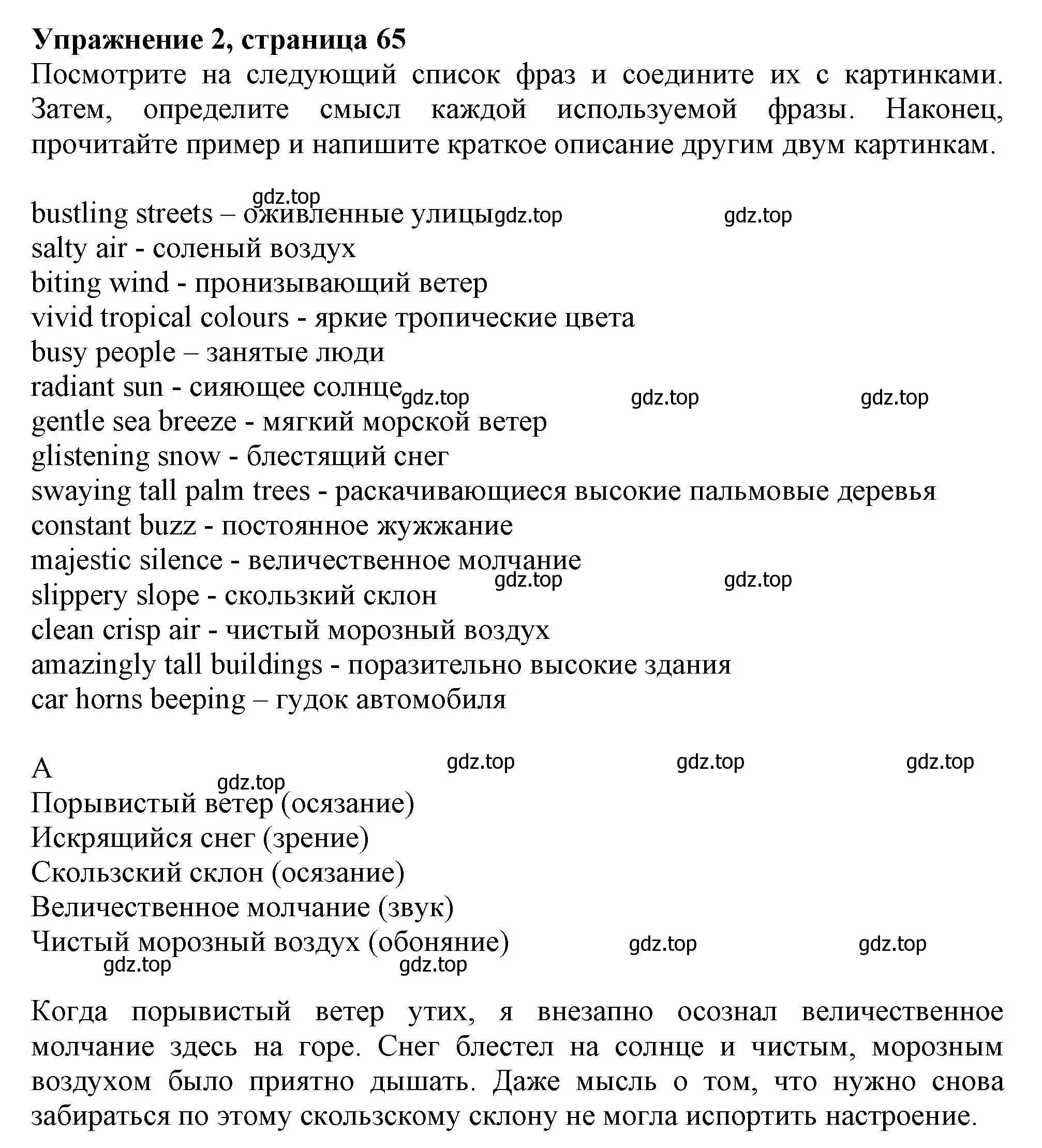 Решение номер 2 (страница 65) гдз по английскому языку 11 класс Афанасьева, Дули, рабочая тетрадь