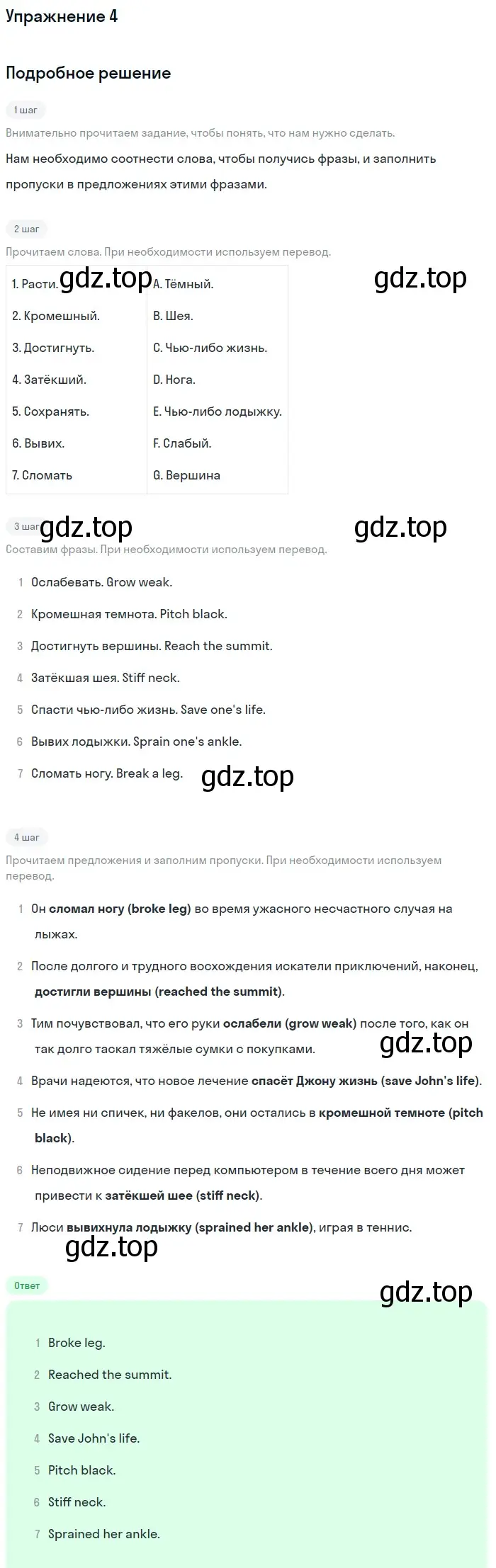 Решение 2. номер 4 (страница 28) гдз по английскому языку 11 класс Афанасьева, Дули, рабочая тетрадь