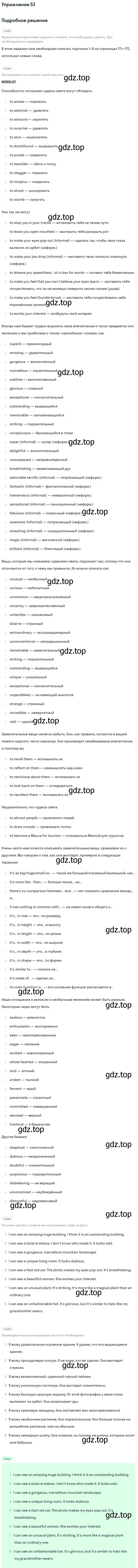 Решение номер 53 (страница 171) гдз по английскому языку 11 класс Афанасьева, Михеева, учебник