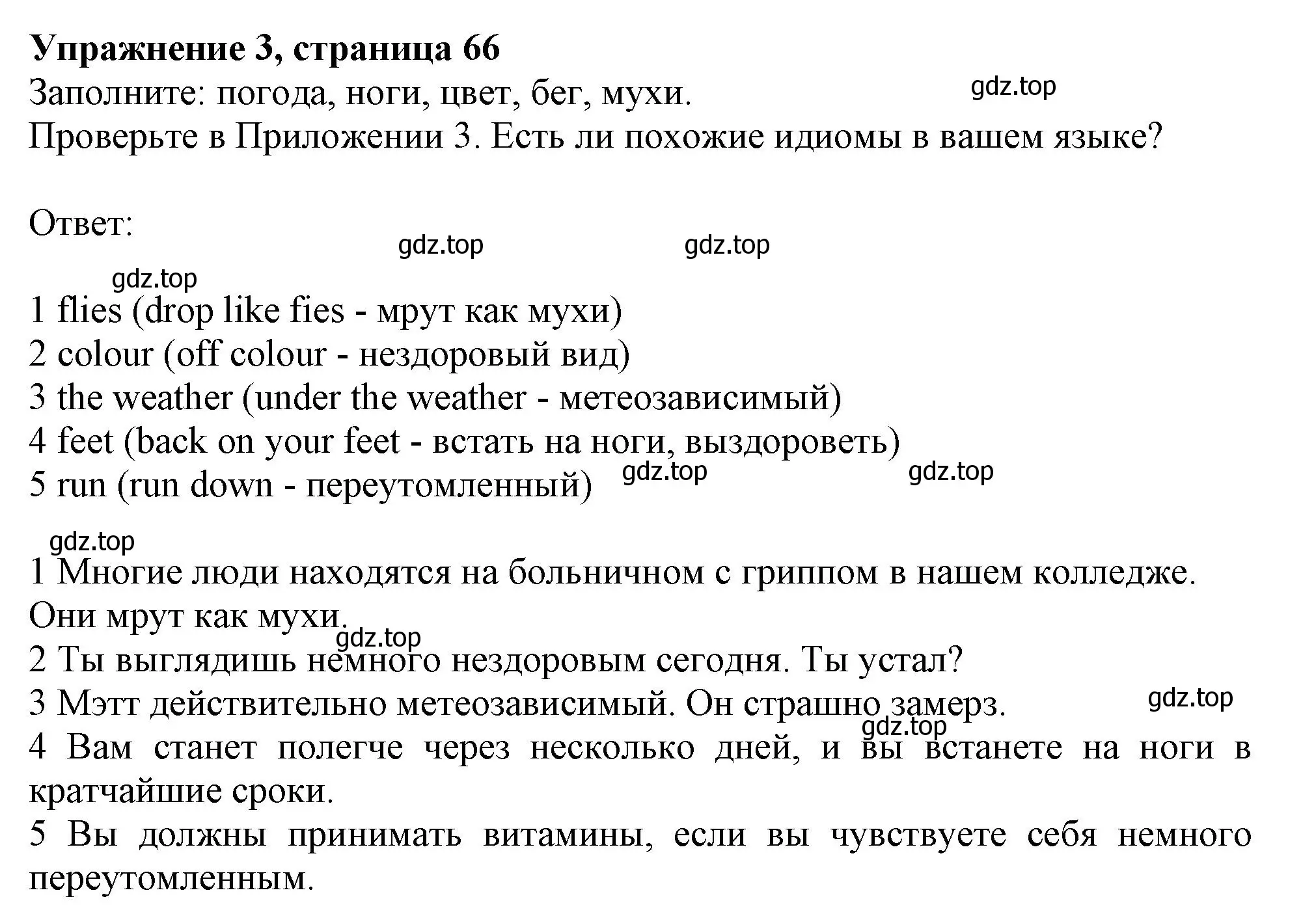 Решение 2. номер 3 (страница 66) гдз по английскому языку 11 класс Афанасьева, Дули, учебник