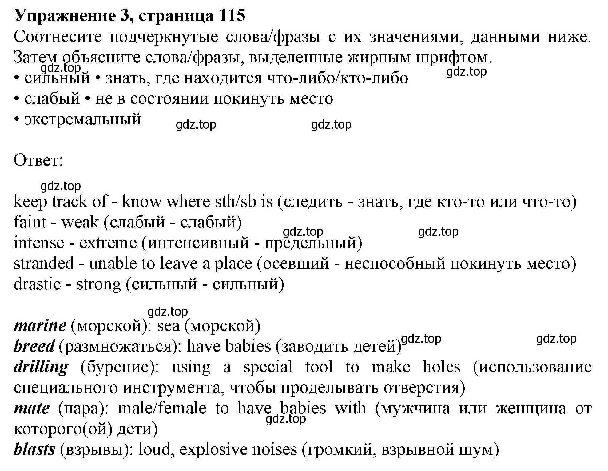 Решение 2. номер 3 (страница 115) гдз по английскому языку 11 класс Афанасьева, Дули, учебник