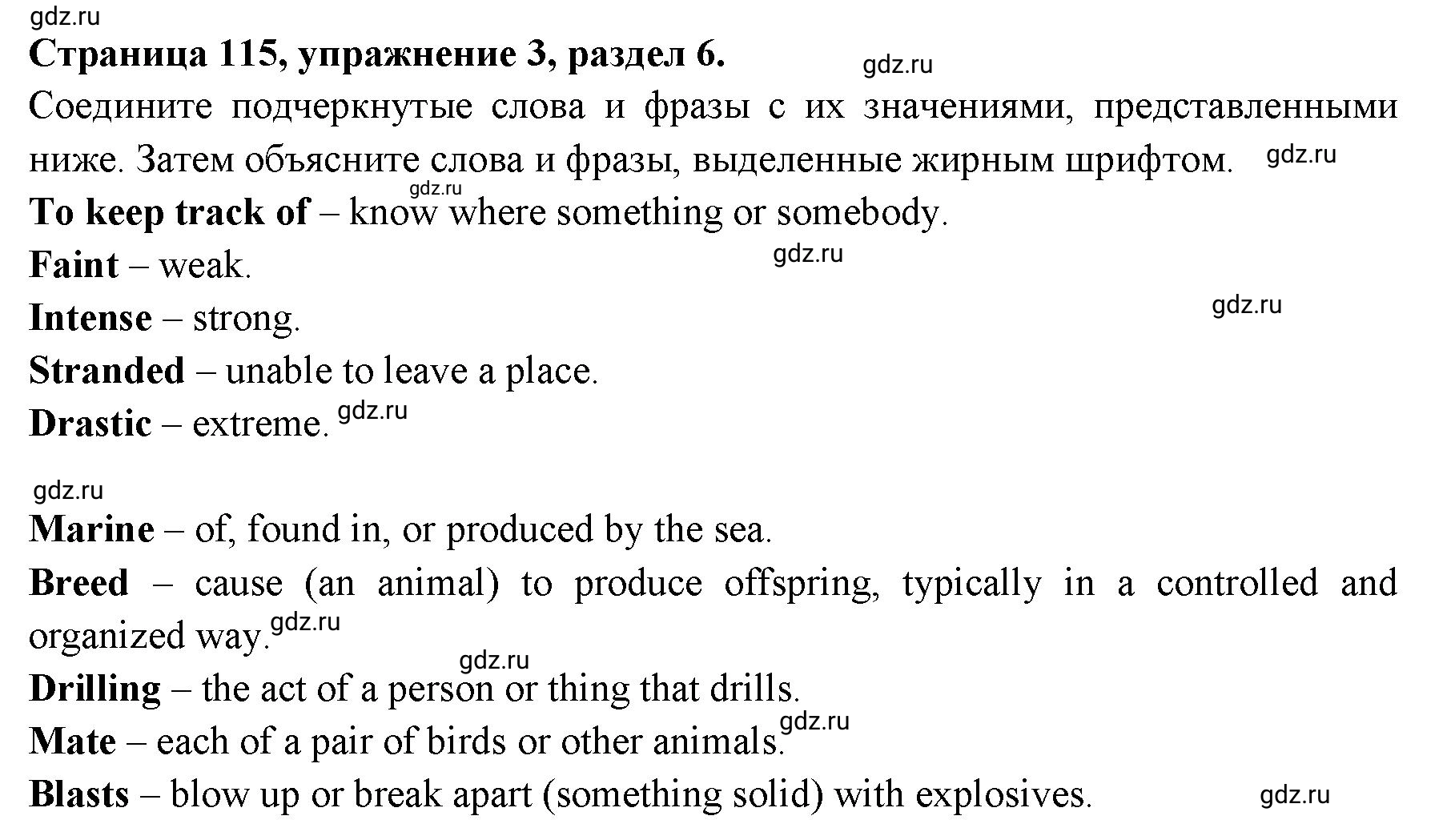 Решение 3. номер 3 (страница 115) гдз по английскому языку 11 класс Афанасьева, Дули, учебник