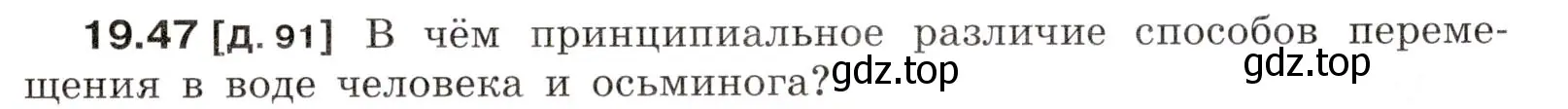 Условие номер 19.47 (страница 69) гдз по физике 7-9 класс Лукашик, Иванова, сборник задач