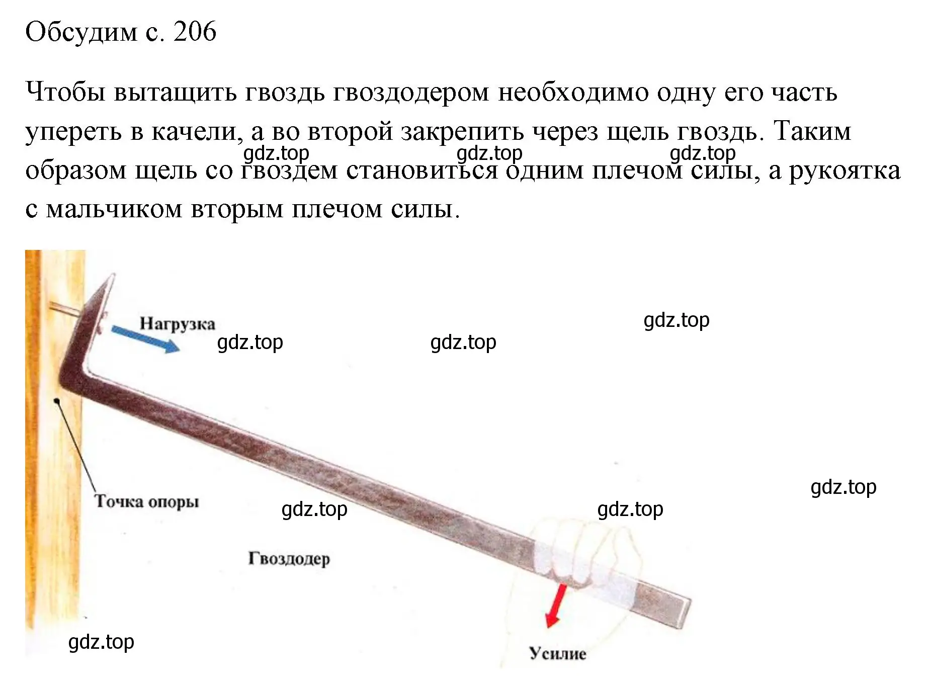 Решение  Обсудим (страница 206) гдз по физике 7 класс Перышкин, Иванов, учебник