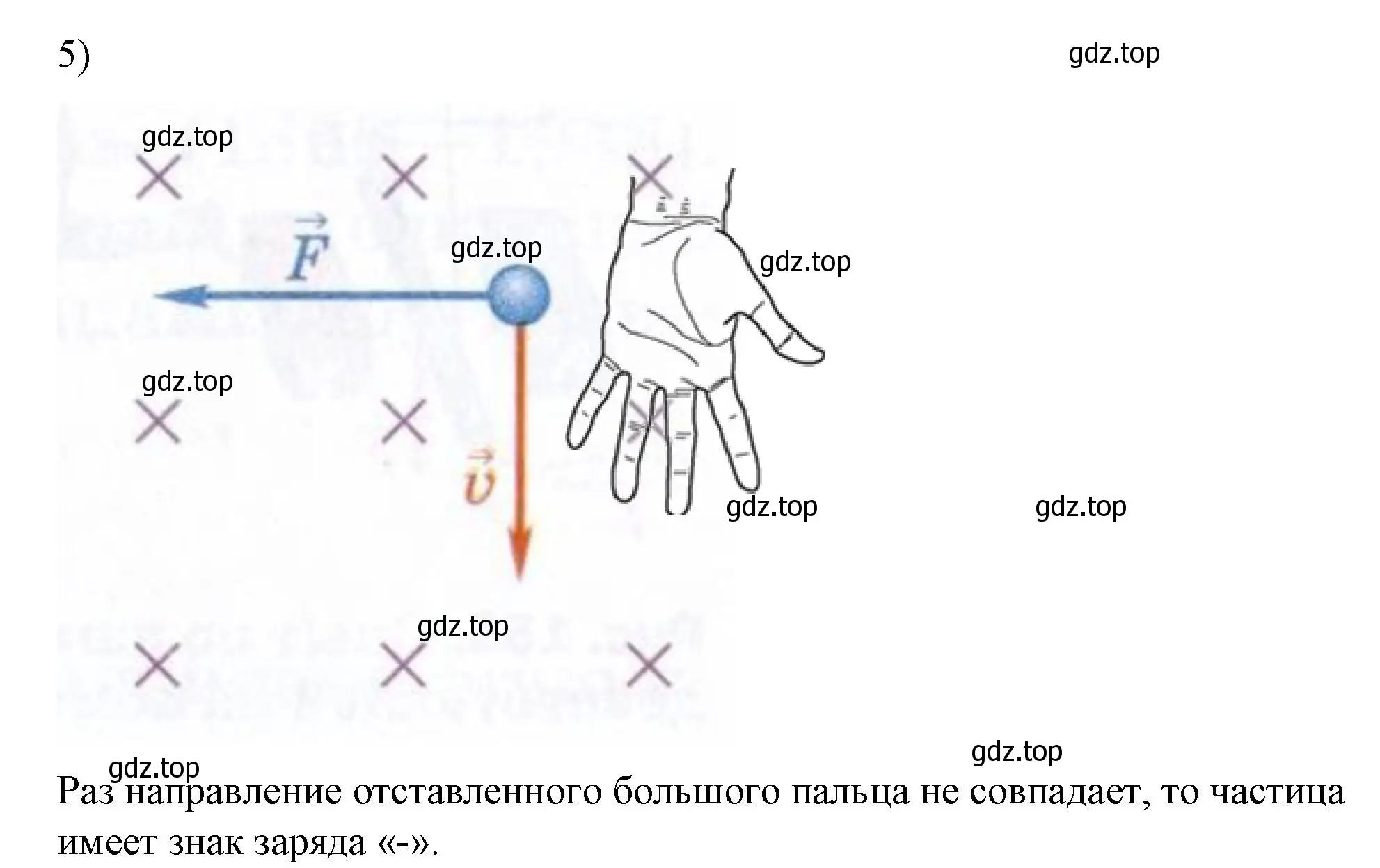 Решение номер 5 (страница 203) гдз по физике 8 класс Перышкин, Иванов, учебник