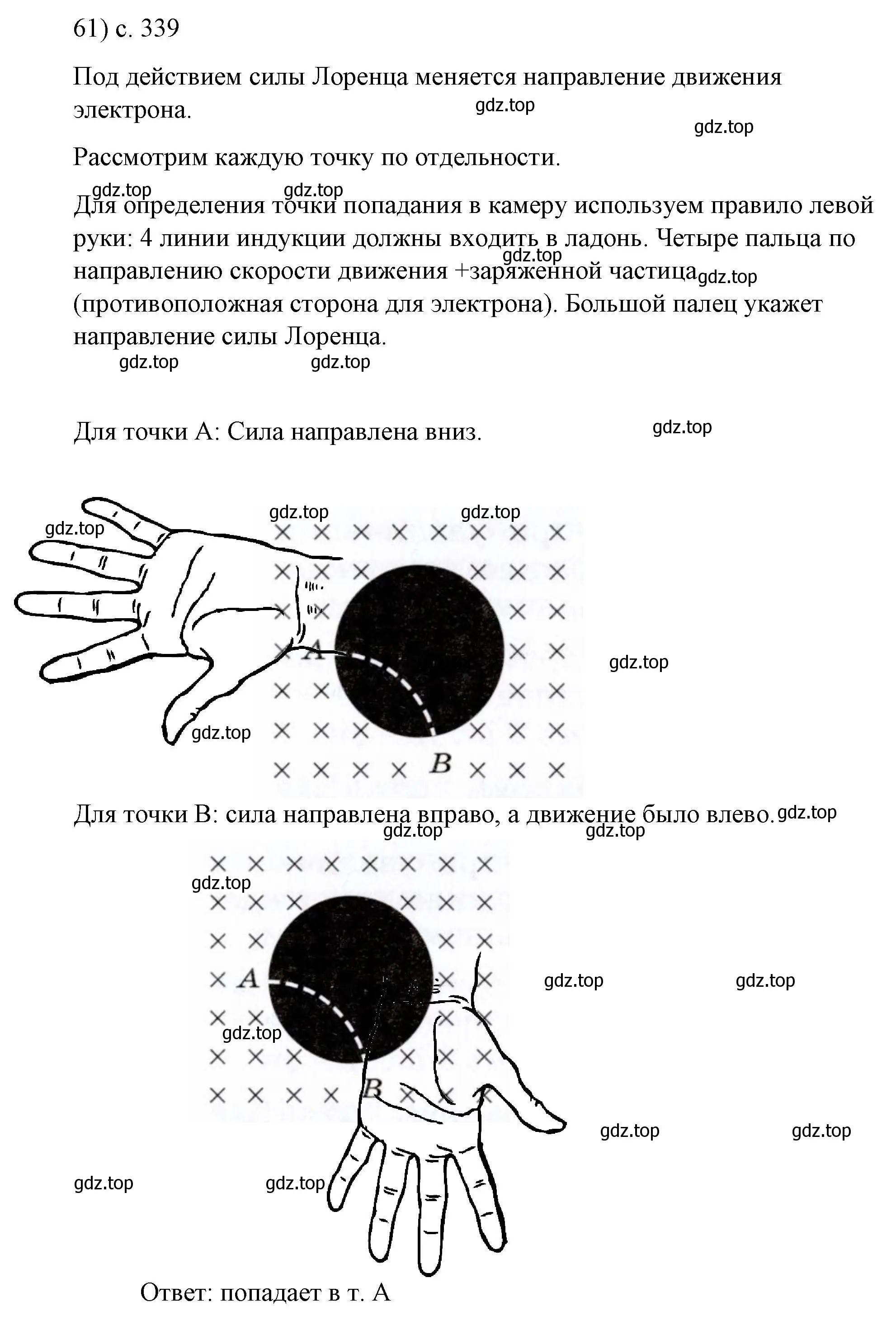 Решение номер 61 (страница 339) гдз по физике 9 класс Перышкин, Гутник, учебник