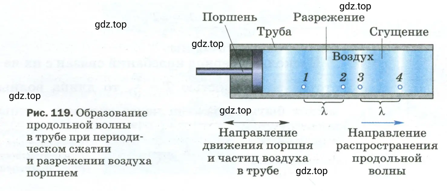 Расстояние между какими точками равно длине волны, на рисунке 119?