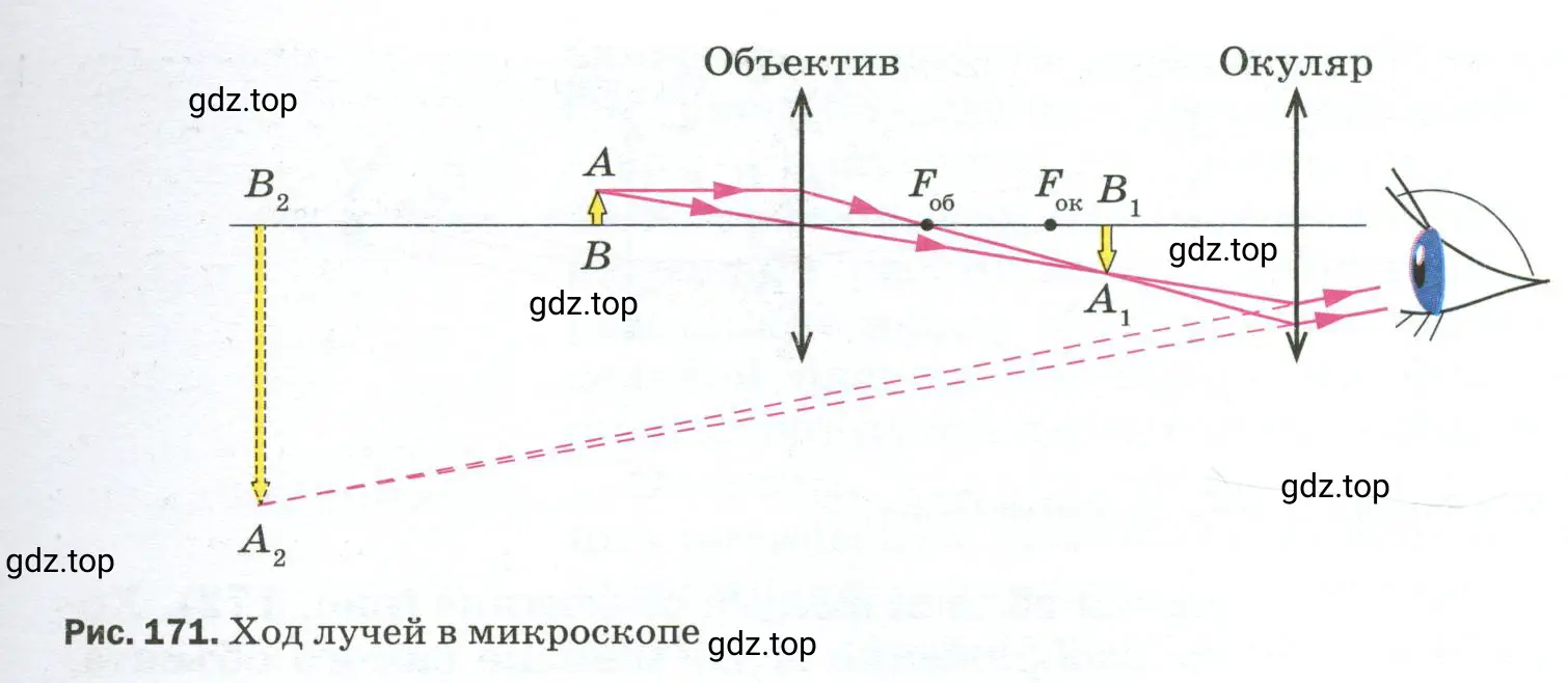 Как устроен микроскоп?