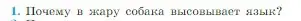 Условие номер 1 (страница 239) гдз по физике 10 класс Мякишев, Буховцев, учебник