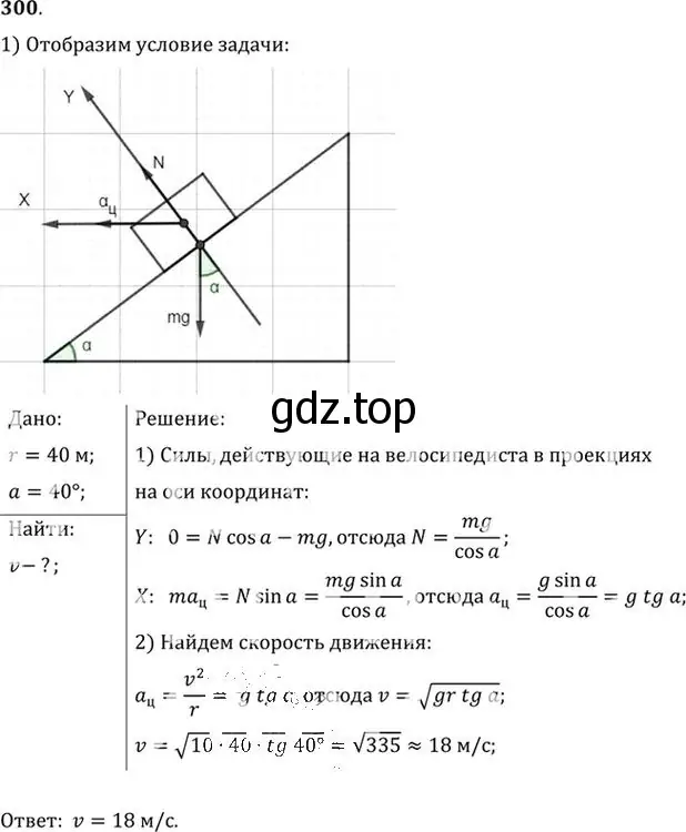 Решение номер 300 (страница 44) гдз по физике 10-11 класс Рымкевич, задачник